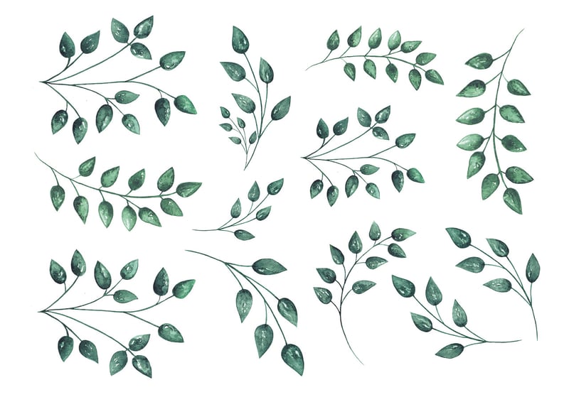 Botanical Decoupage