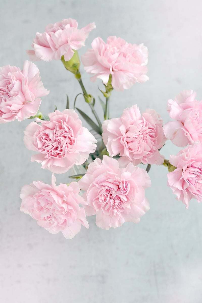 Flower Arrangements